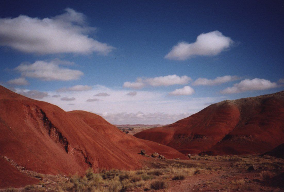 Petrified Forest National Park